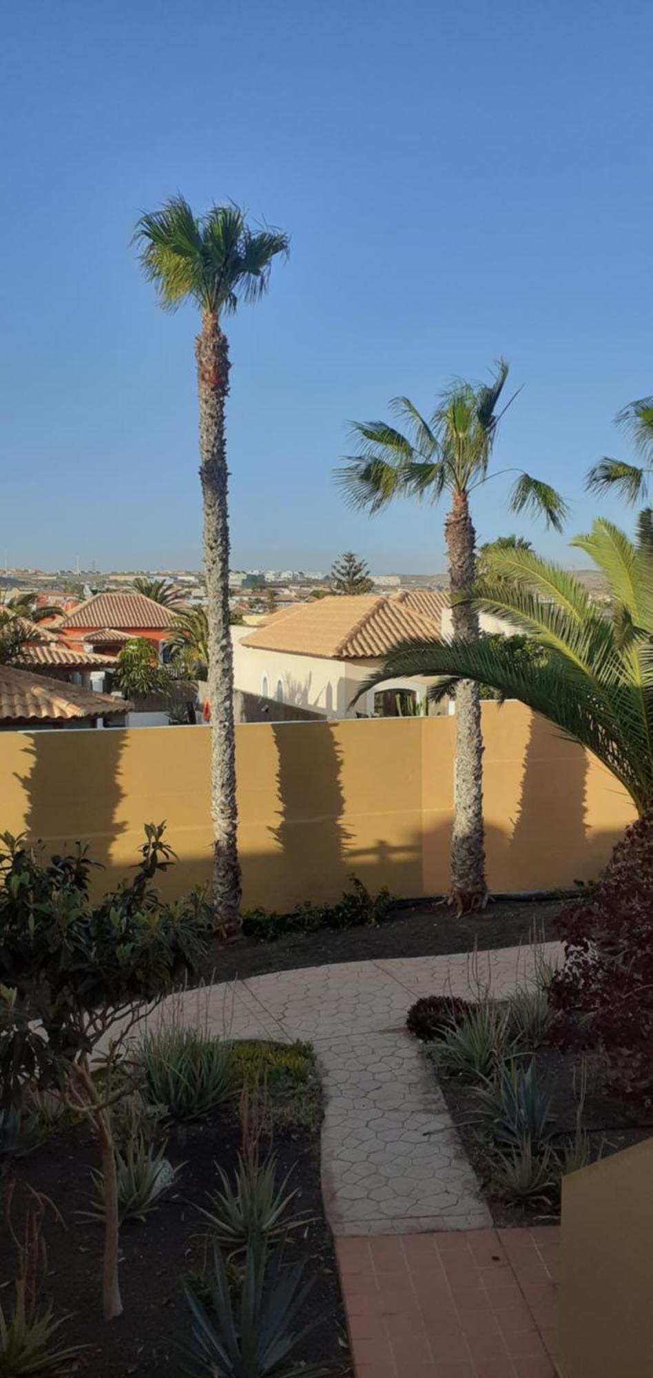 Oasis Waves House Papagayo Apartment Corralejo Exterior photo
