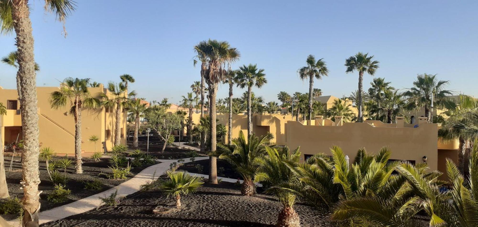 Oasis Waves House Papagayo Apartment Corralejo Exterior photo
