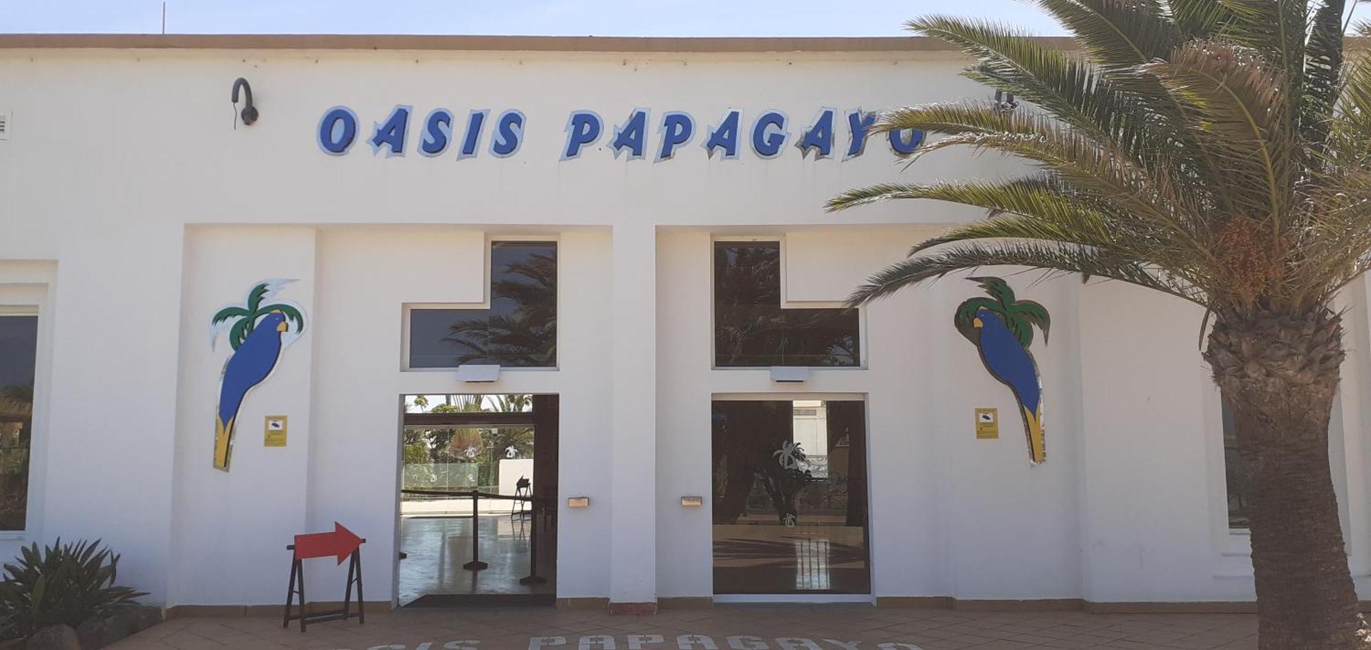 Oasis Waves House Papagayo Apartment Corralejo Exterior photo